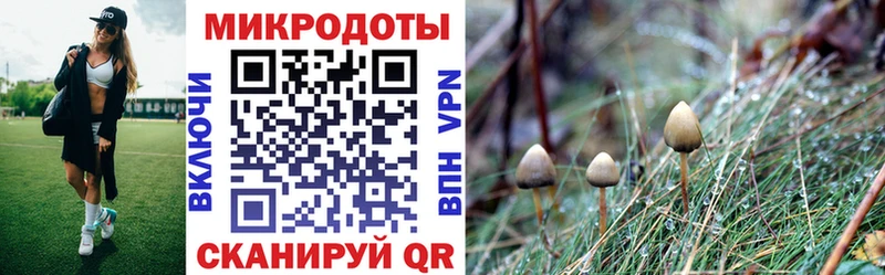 Псилоцибиновые грибы мухоморы это клад Златоуст